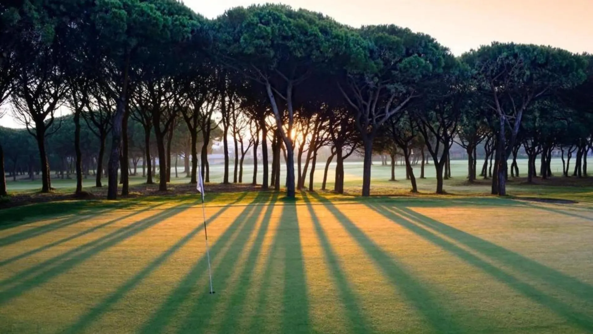 Piverd Del Golf 41 팔스 펜션